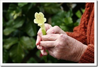 Arthritis Pain Relief Fargo ND