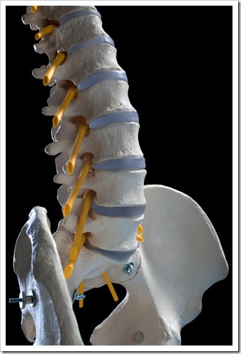 Herniated Disc and Back Pain Fargo ND